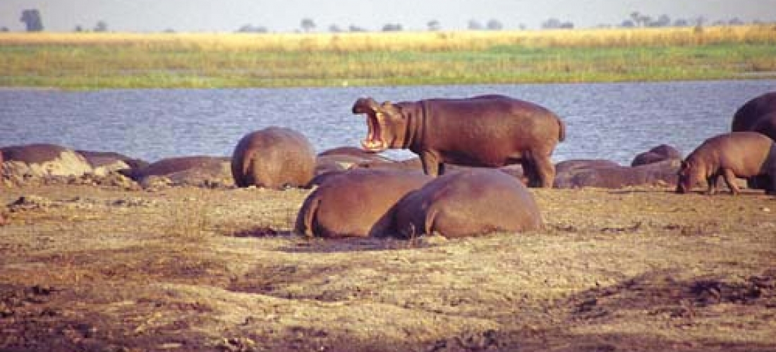 Botswana