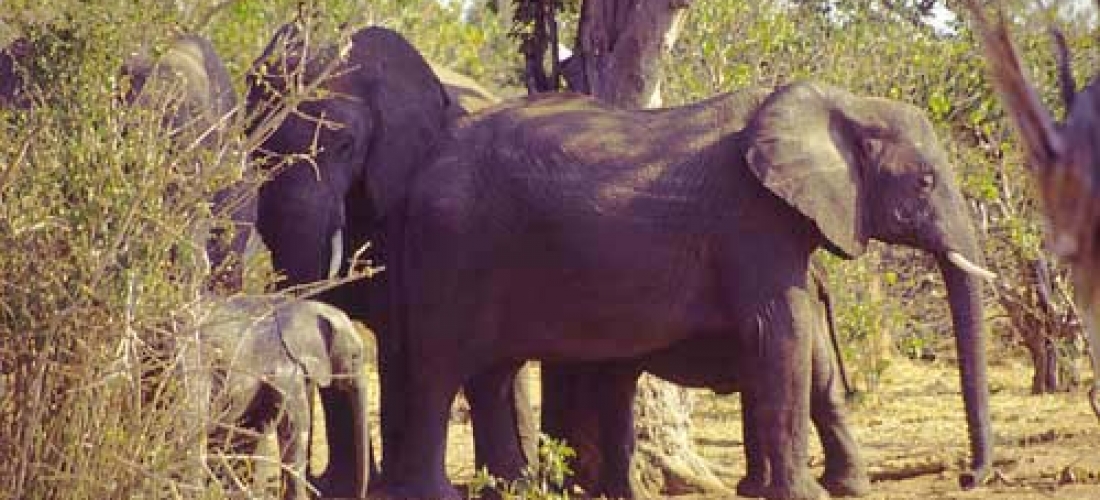 Botswana