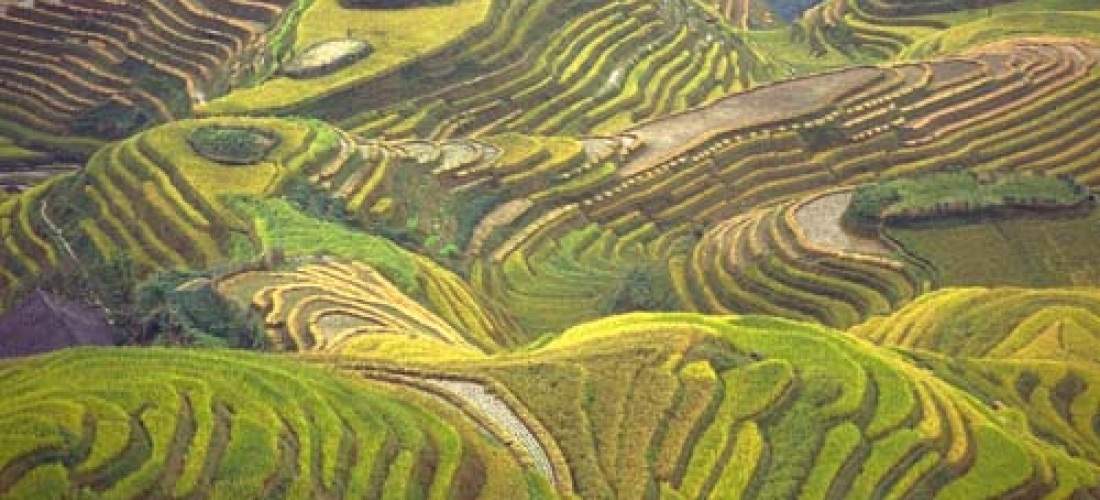 China