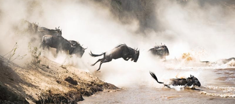 Vijf redenen waarom de Maasai Mara op jouw bucket list hoort