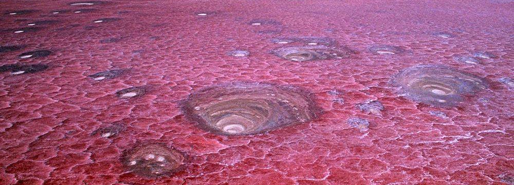 Het rode Natronmeer: zeker doen tijdens een rondreis Tanzania